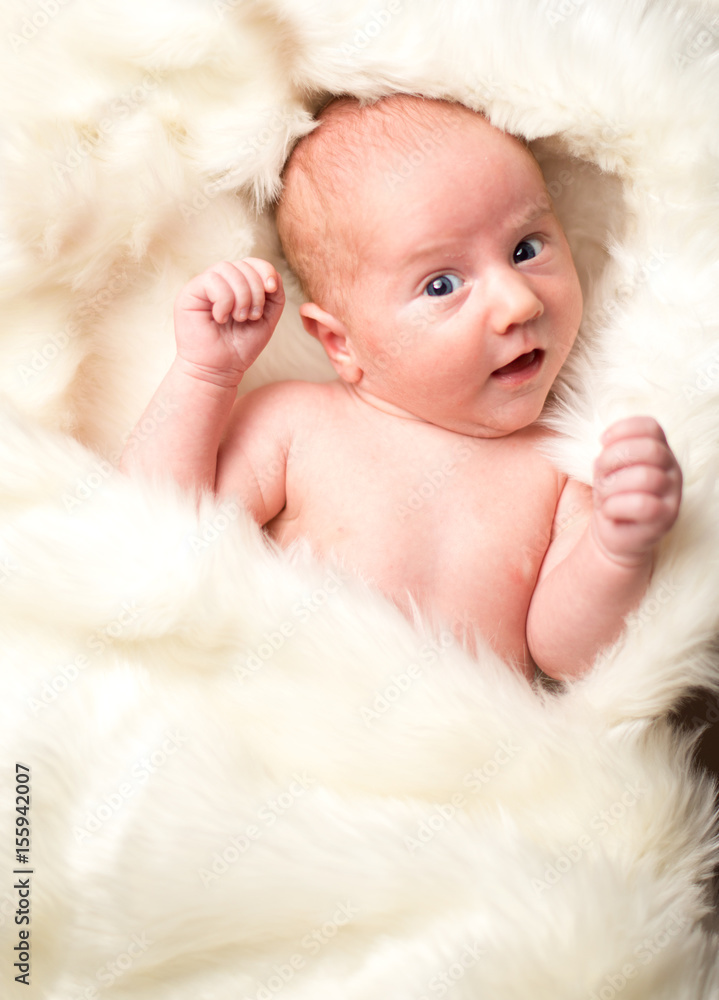 newborn baby boy in a white blanket newborn baby boy in a white blanket