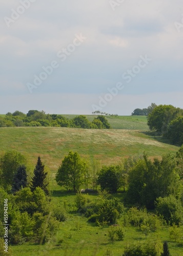 Naturlandschaft mit Pusteblumenwiesen im Frühling unter Himmelblau mit Wolken 