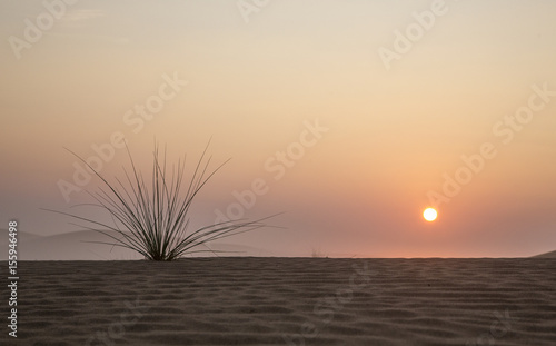 Sunrise in a desert near Dubai
