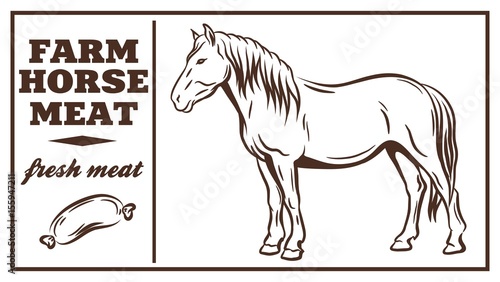 Label of meat products. Horsemeat