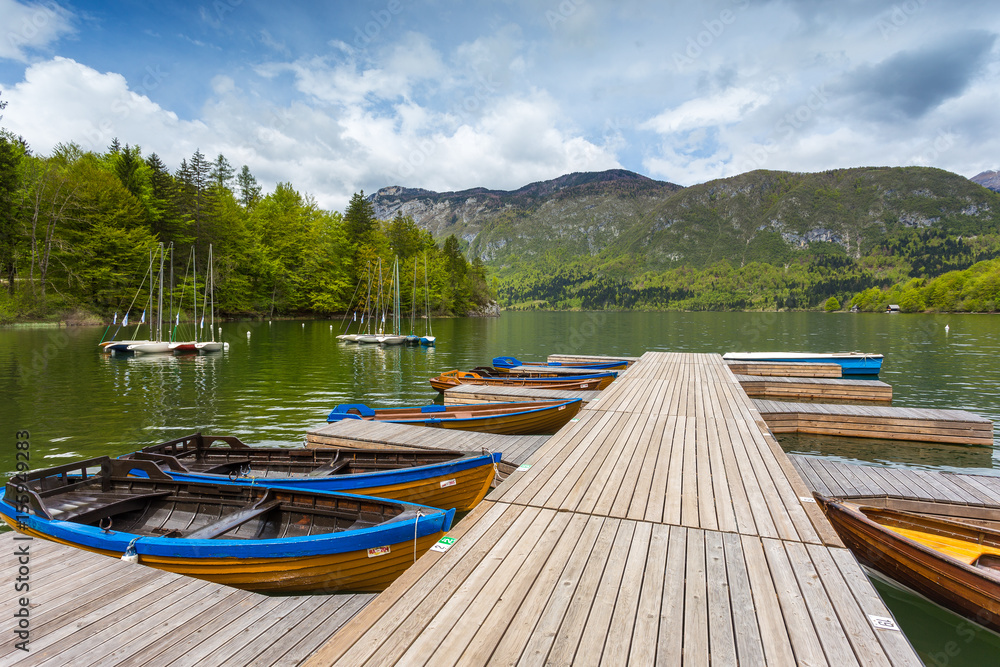Boats in marina at Bohinj Lake, Julian Alps, Slovenia