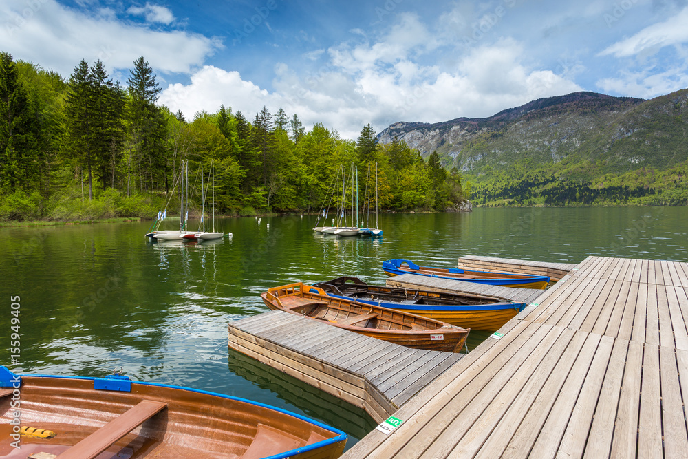 Boats in marina at Bohinj Lake, Julian Alps, Slovenia