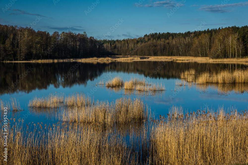 Patelnia lake near Kruklanki in Masuria, Poland