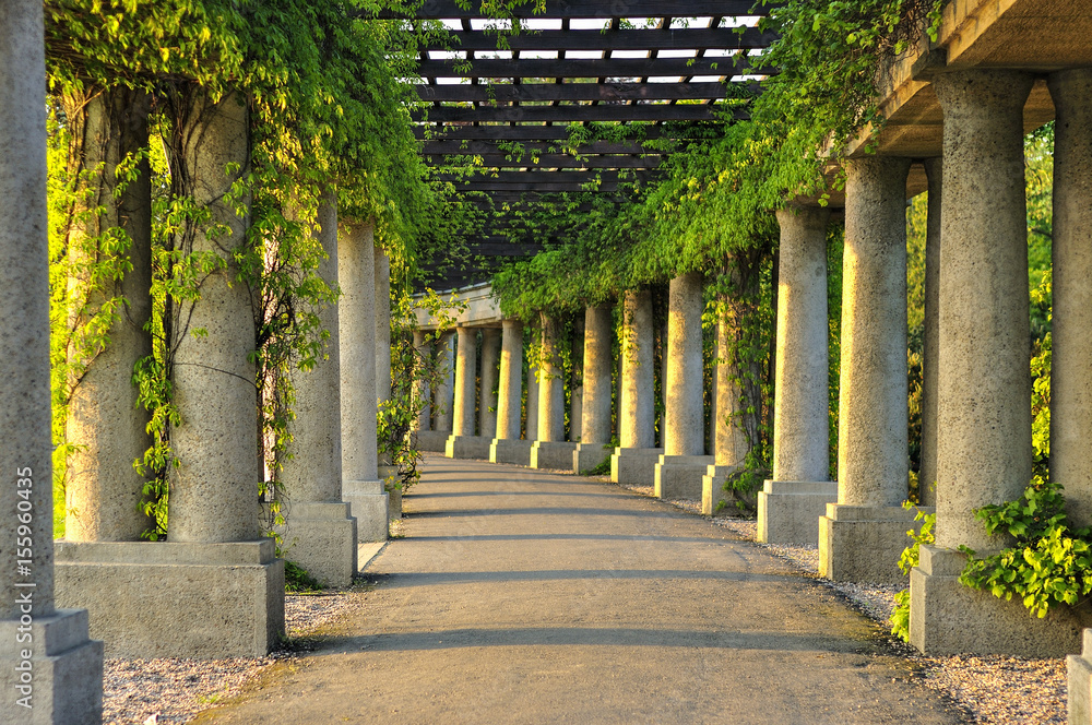 Fototapeta Miejska pergola