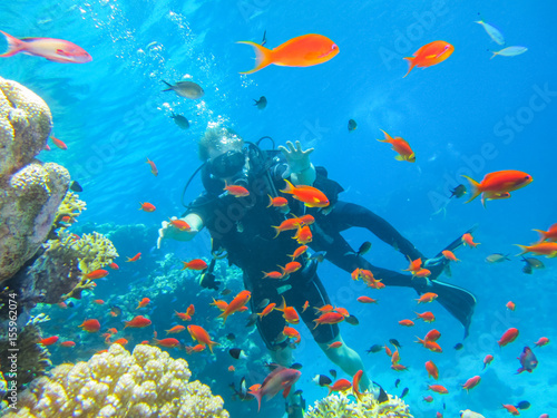 Активный отдых в Египте. Погружение с аквалангом возле коралловых рифов © konoplizkaya