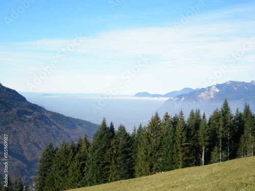 the mountains air plants shine house joy Open space picture love rose flower food Pancakes Europe America smile NATURE HUMAN BEAUTY mirror RECREATION model Pleasure YOUTH A LIFE ENERGY LOVE SALES COMM