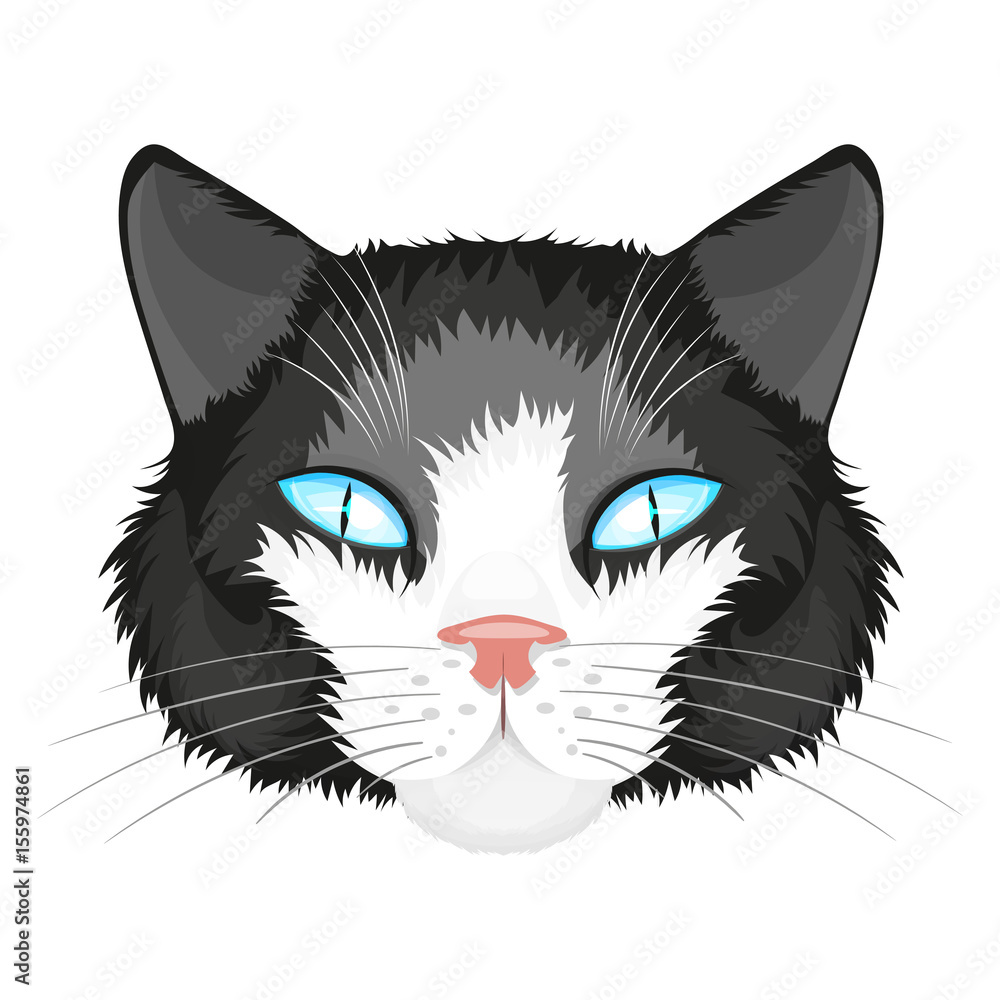 Cat face illustration