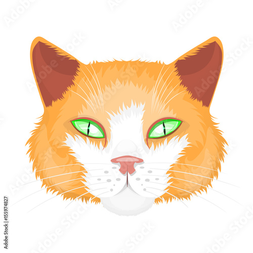 Cat face illustration