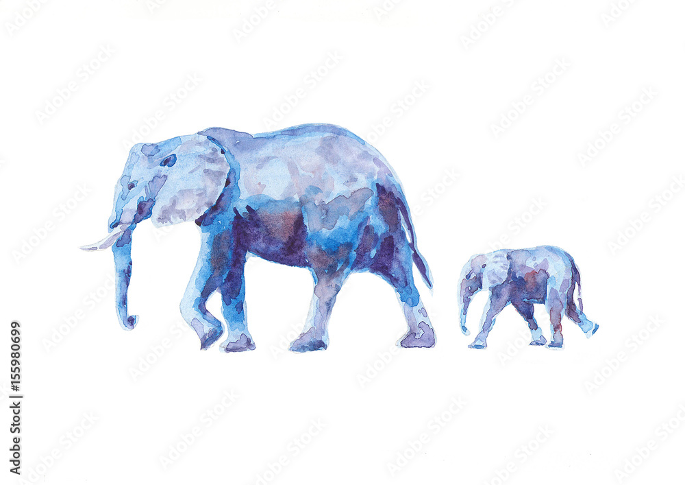 Fototapeta premium Watercolor elefants