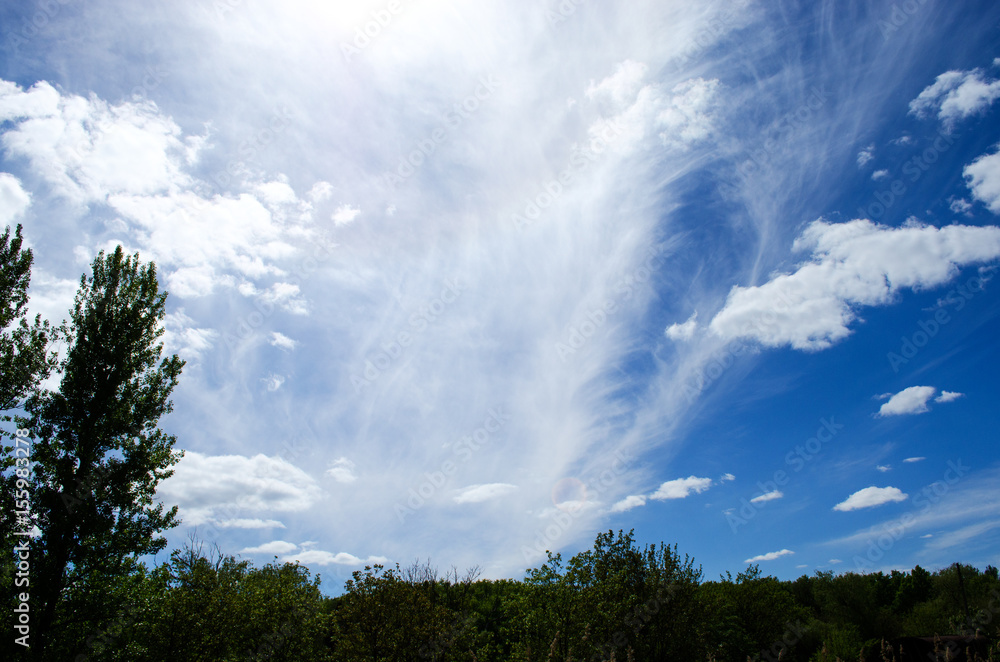 Beautiful sky with cirrus clouds and the sun against the background of forest and nature in summer Beautiful sky with cirrus clouds and the sun against the background of forest and nature in summer