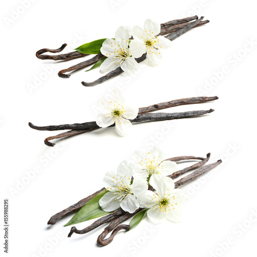 Vanilla pods with flowers on white background