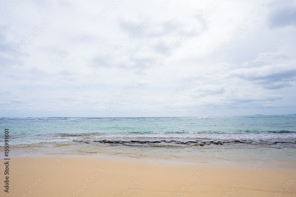 Tropical Paradise Beach Oahu Hawaii