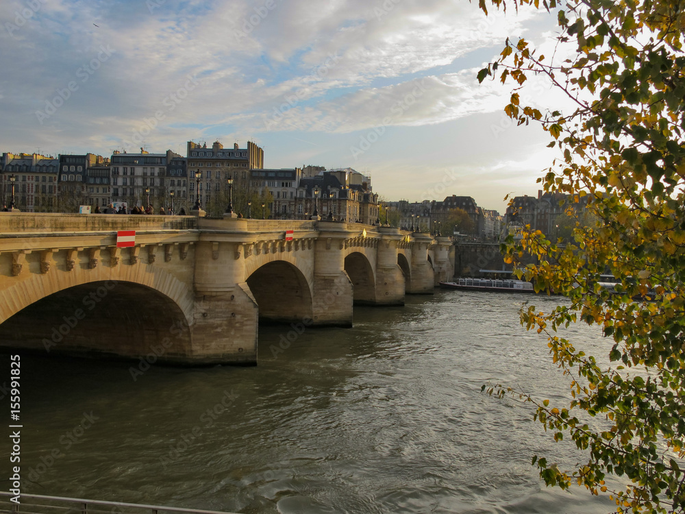 Obraz premium Sena River, Paris