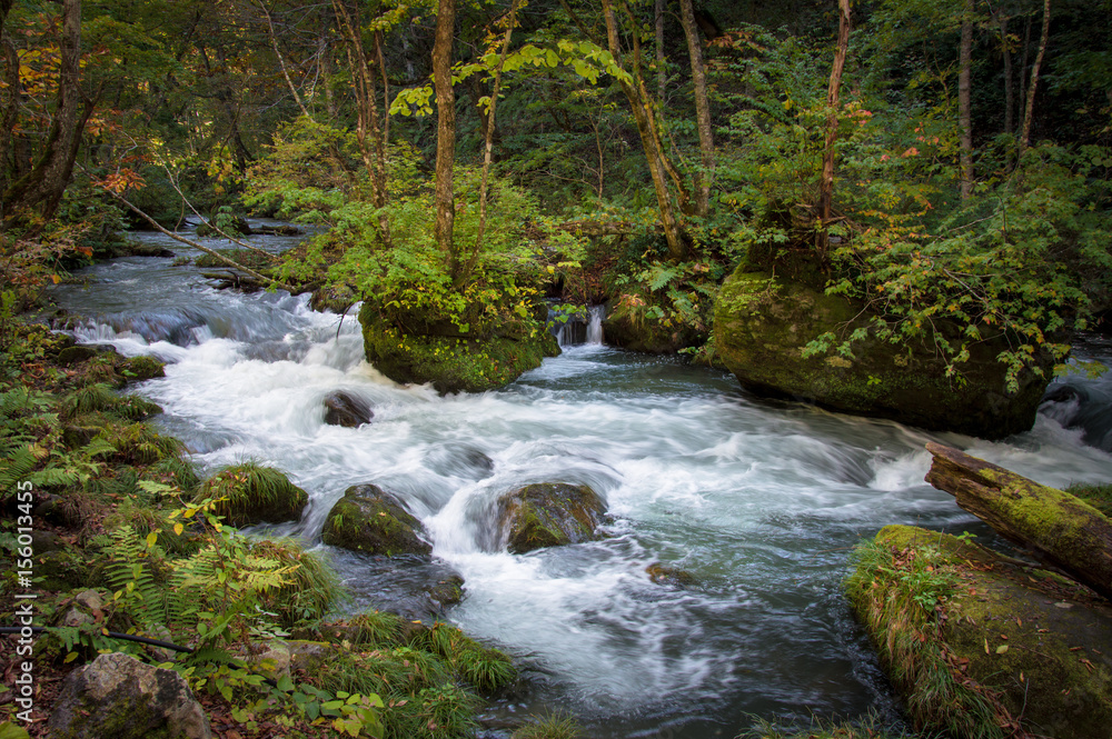 Fototapeta premium Idyllic nature of Oirase Gorge, Aomori, Japan