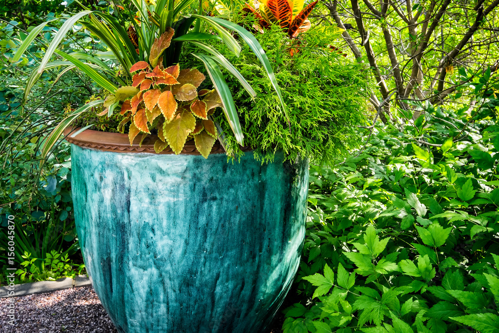 Large outdoor potted plant. Beautiful pot glazed in shades of bue and teal  with assorted foliage plants. Photos | Adobe Stock