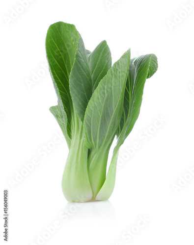 Bok choy vegetable isolated on the white background.