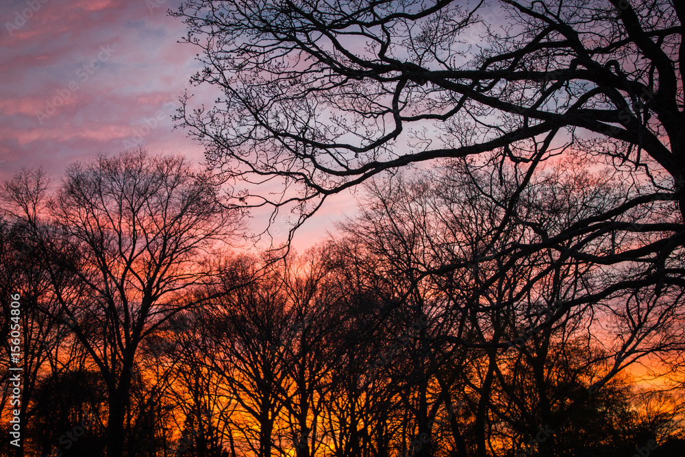 Colorful Sunset Colorful Sunset