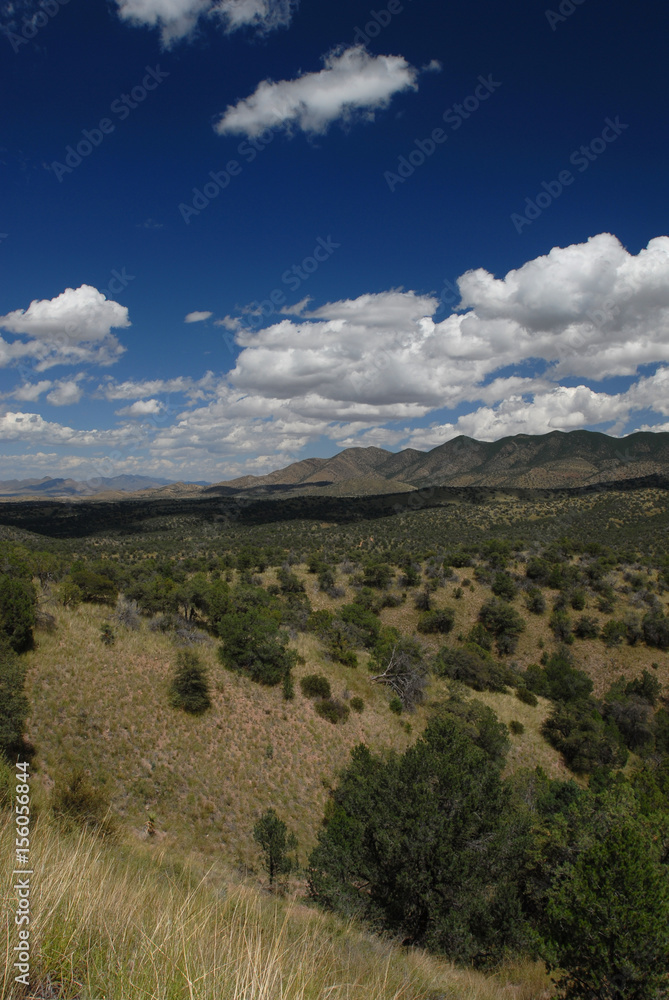Fototapeta premium Arizona Portrait