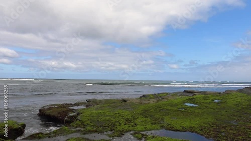 Tide Pool Pan of Seashore as a Heron and Pelicans Flyby