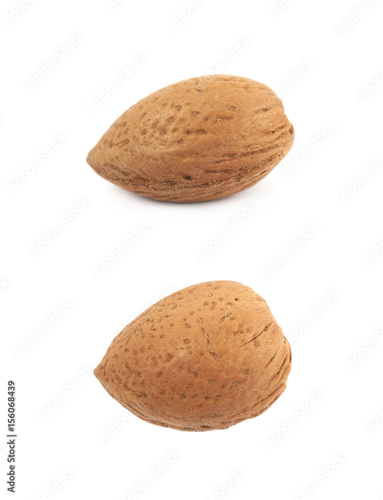 Single almond nut isolated Single almond nut isolated