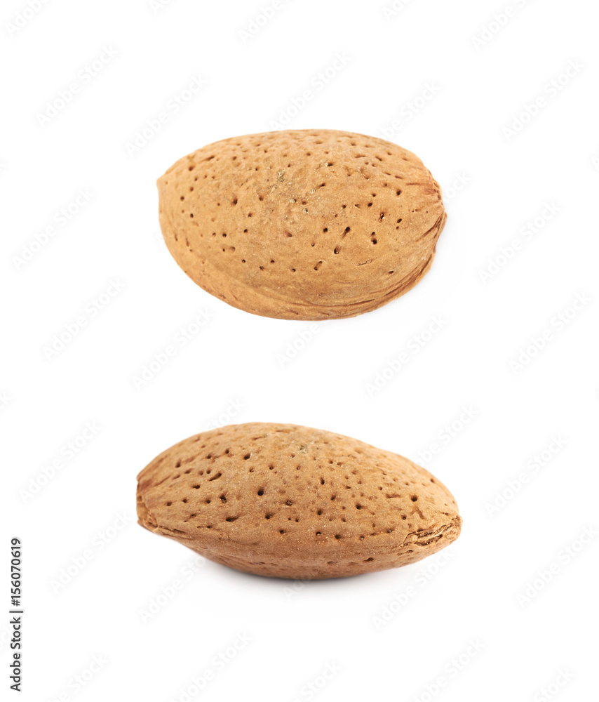 Single almond nut isolated Single almond nut isolated