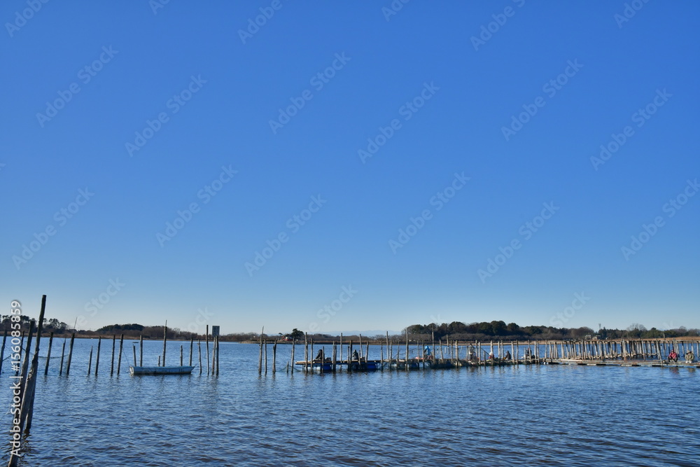 Morning view of Tatara Swamp in Winter. At Tatebayashi, Gunma, Japan. Tatara Swamp is famous in Japan.