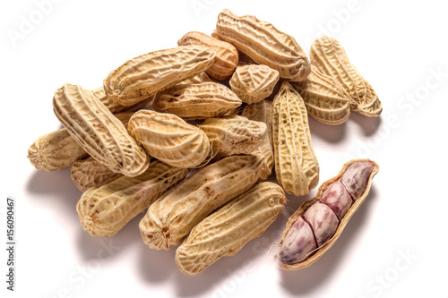 peanut on white background