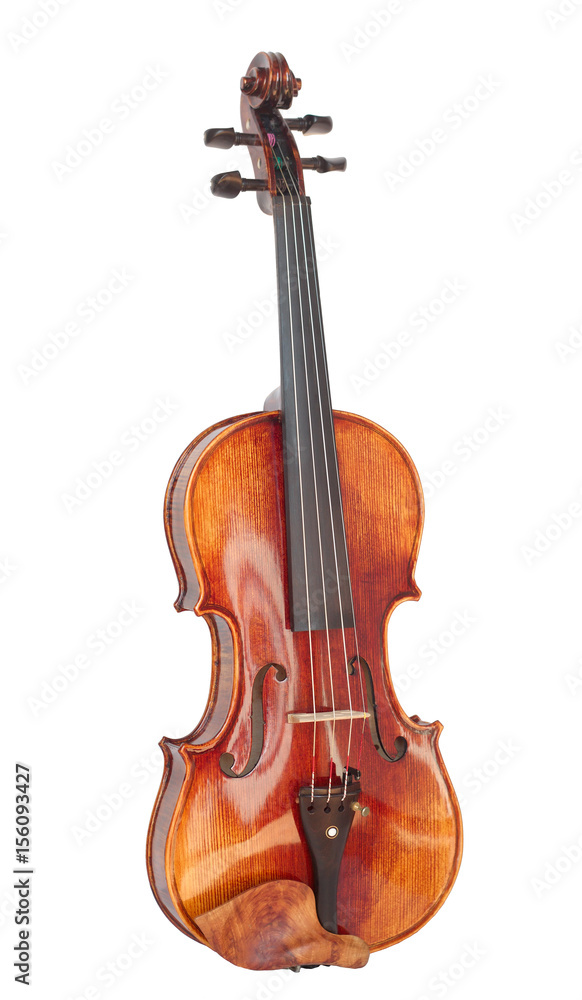 wooden maple violin isolated on white wooden maple violin isolated on white