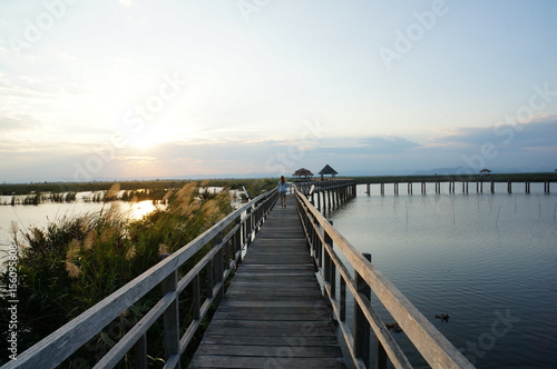 One lagoon has a wooden bridge spanning the middle of the lake,landscape