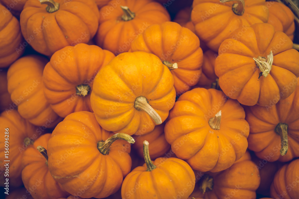 Closeup of a basket of small pumpkins Closeup of a basket of small pumpkins