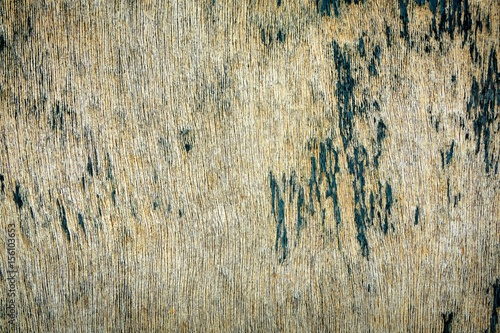 wood grungy background with space for your design