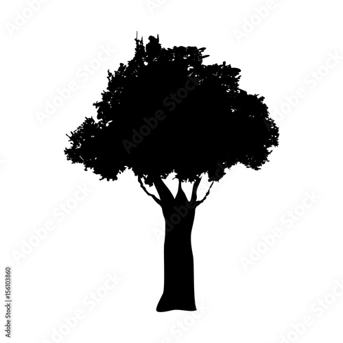 tree silhouette. branch trunk foliage image vector illustration