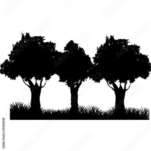 three tree field silhouette. branch trunk foliage image vector illustration photo