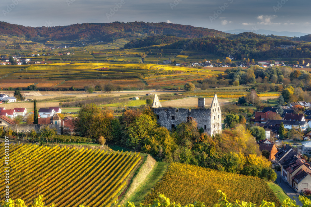 Picturesque autumn countryside landscape. Colourful vineyards growing on rolling hills and medieval village with ancient castle ruins. Black Forest, Germany. 