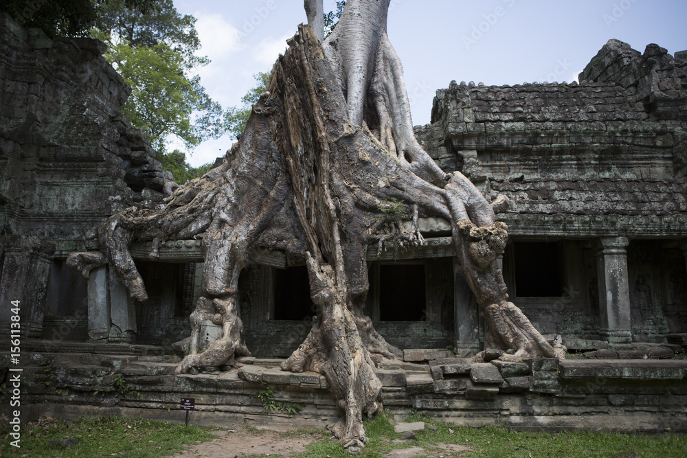 My Cambodia My Cambodia