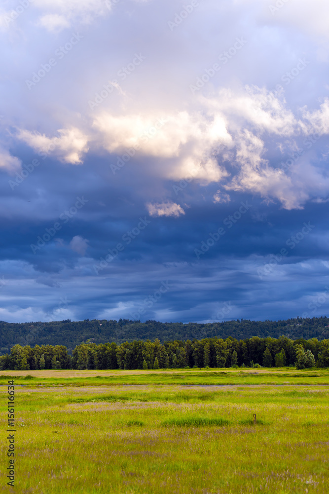 Natural mosaic of meadows forests mountains and sky with clouds