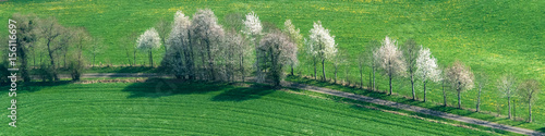 Vue aérienne, d'arbres en fleur près de Flers - 61 photo