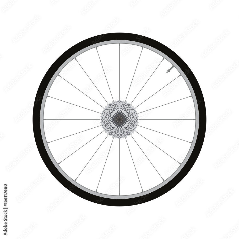 bicycle wheel rear wheel with gear vector
bicycle wheel rear wheel with gear vector