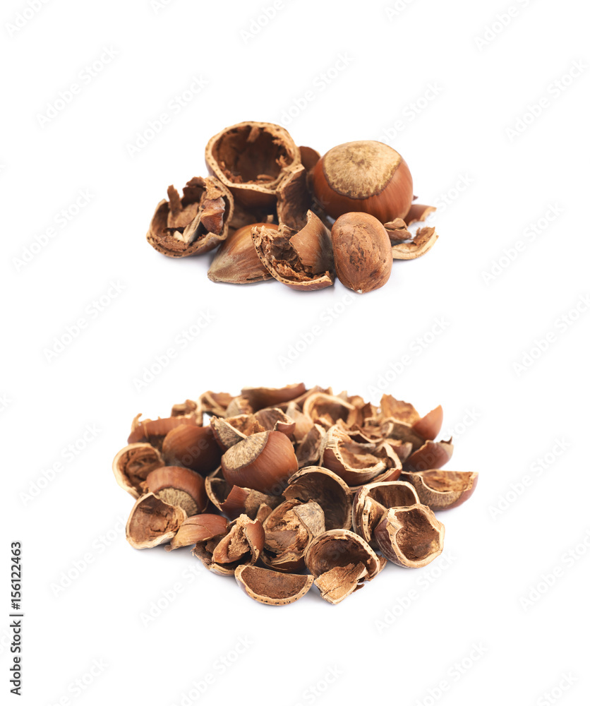 Pile of hazelnut shells isolated Pile of hazelnut shells isolated