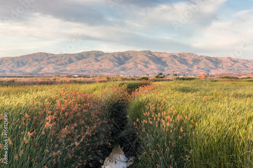 Alviso Wetlands and Diablo Mountain Range. Alviso Marina County Park, Santa Clara County, California, USA. photo