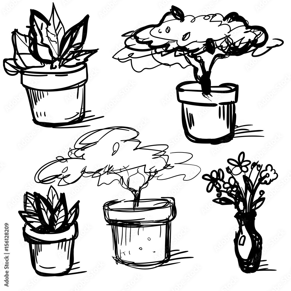 pots-with-rasteny-drawing-of-plants-bystry-sketch-of-house-plants