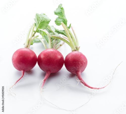 Red salad radish on the white background.