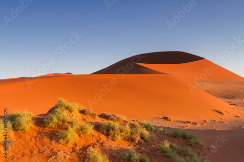 Big Daddy sand dune in the early morning light