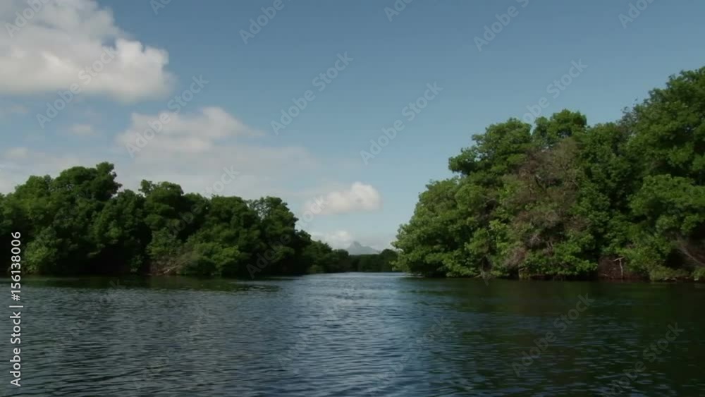 View of the lagoon with mangrove trees and peak on the background from the boat at Laguna de la Restinga, Venezuela View of the lagoon with mangrove trees and peak on the background from the boat at Laguna de la Restinga, Venezuela