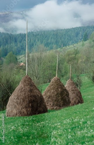 Fototapet Landscape of the hill with haystacks in the great mountains in spring in the clo