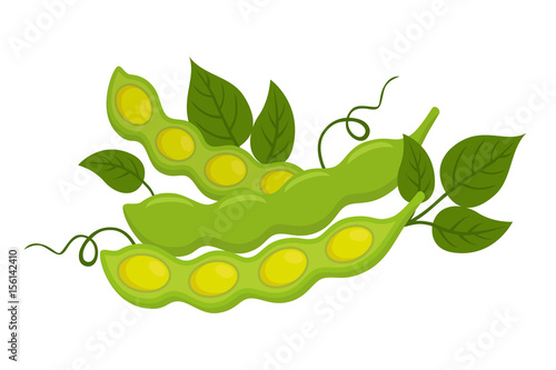 Natural organic soybeans. Eco-friendly vegetarian nutrition. Made in flat style.