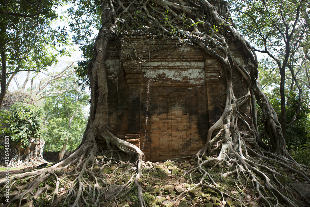 Obraz premium My cambodia