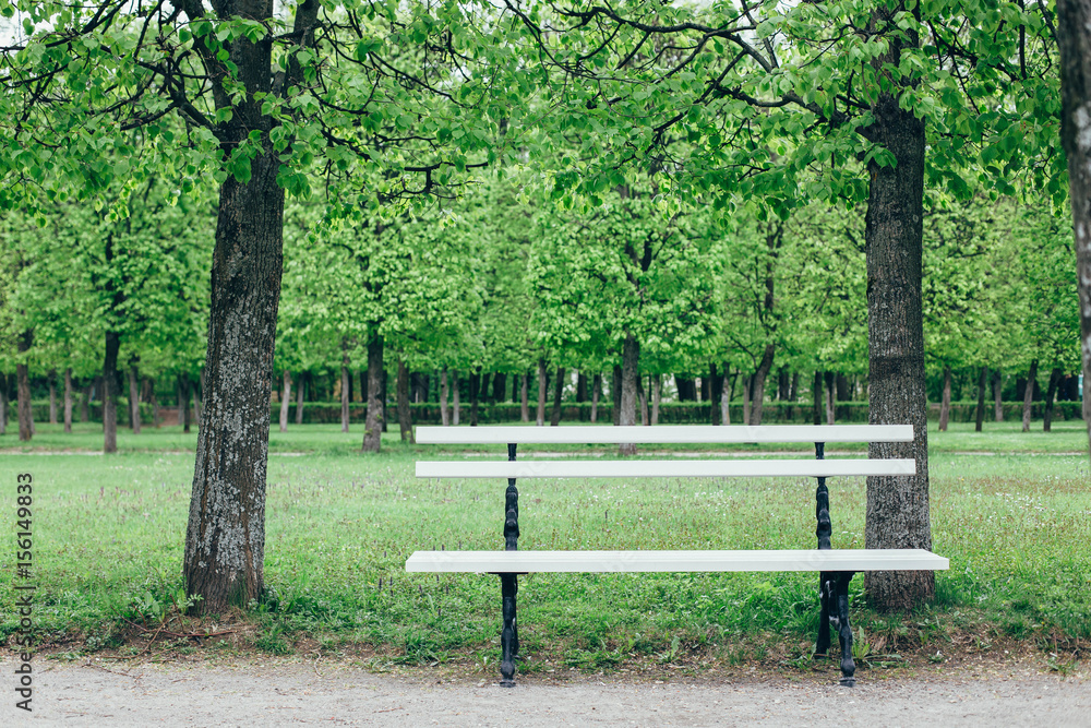 Bench in the park Bench in the park