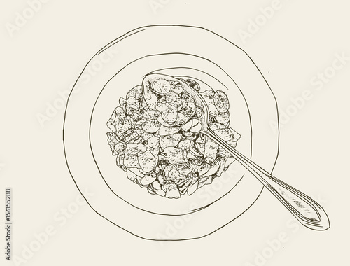 Corn flakes cereal ,sketch vector.