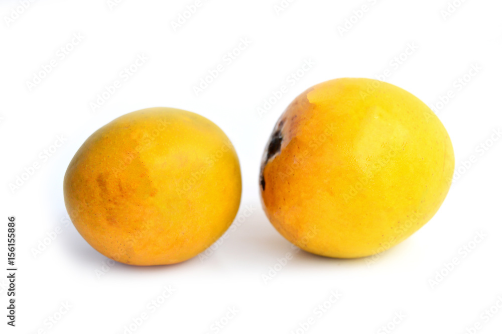 2 Colorful Mango on White Isolated Background Side View